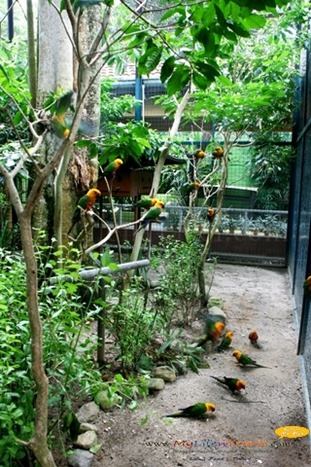 Langkawi Wildlife Park Langkawi Wildlife Park