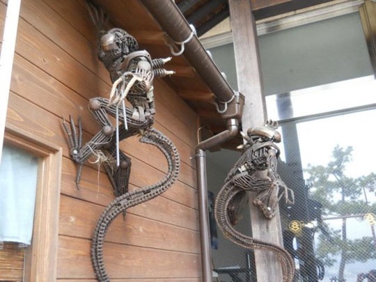 [viral-picdump-pics-39%255B2%255D.jpg]