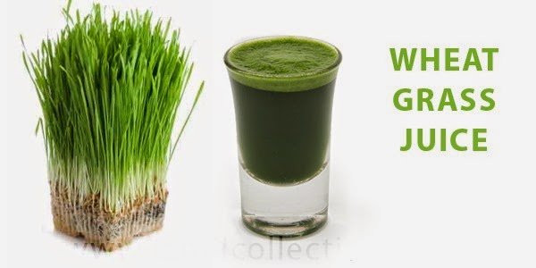 [wheatgrassjuice%255B4%255D.jpg]