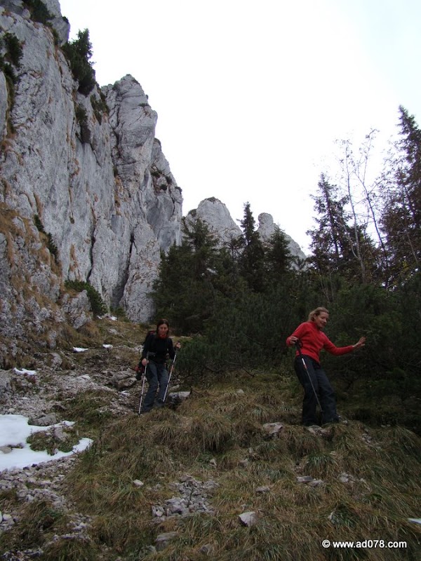 cioranga ramura de sus-20.JPG