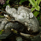 Jardim Bot&Atilde;&cent;nico da Ajuda