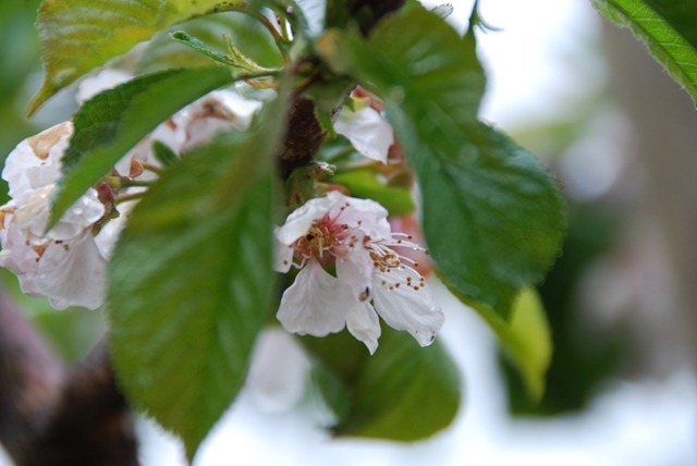 [DSC_0247%255B2%255D.jpg]