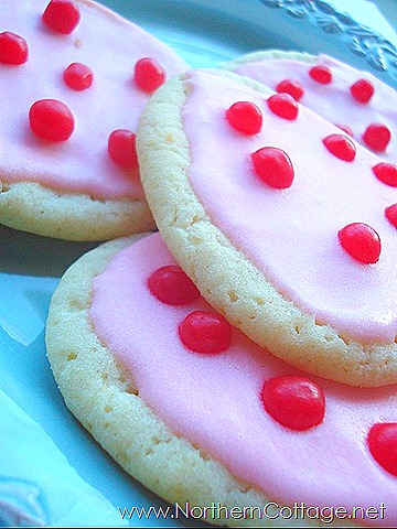 [northern-cottage-cookies12.jpg]