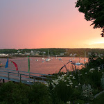 IMG_3536.JPG