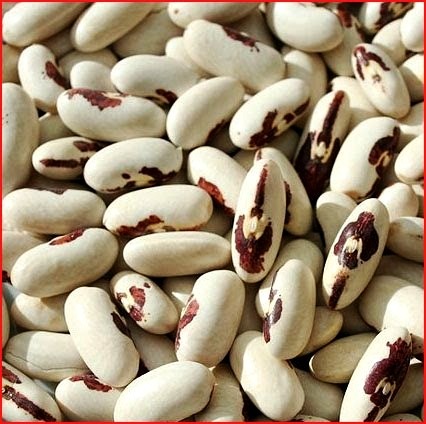 [FeijaodoEspiritoSanto3.jpg]