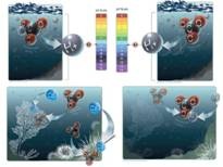 [clip_image002%255B4%255D.jpg]