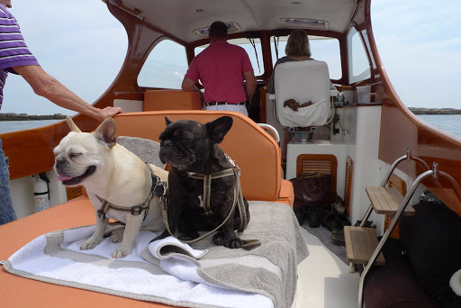 Ah, Sharkey, this is the life!  Another fun-filled adventure on the open waters of Maine!
