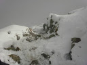 PA030058.jpg