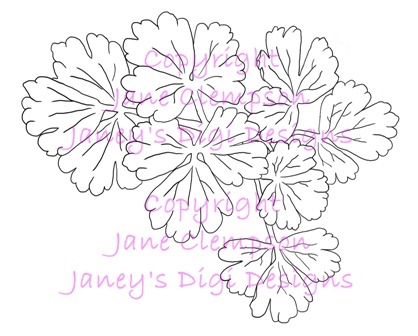 [Aquilegia%2520Foliage%2520-%2520Watermarked%2520-%2520Copy%255B2%255D.jpg]