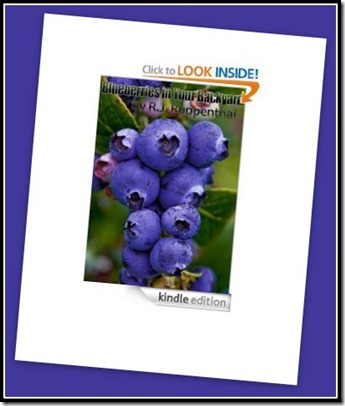 Blueberry book