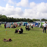 Hills Cup 2007