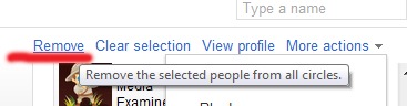 [Google%252B%2520Circles%25207%255B8%255D.jpg]