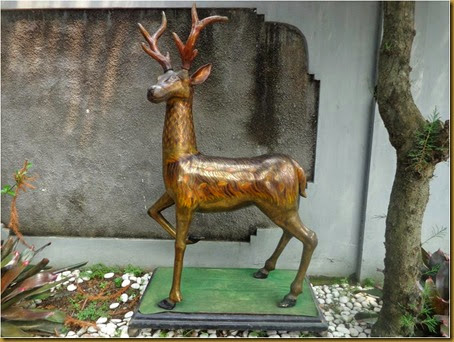 Kijang berdiri Kijang berdiri