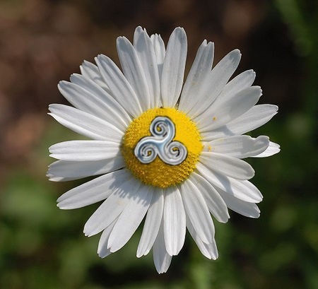 [el%2520mandala%2520de%2520la%2520vida%2520verdadera%255B3%255D.jpg]