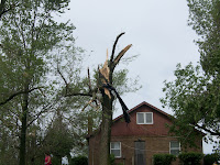 Damage on Redwood Avenue in Washington County Damage on Redwood Avenue in Washington County