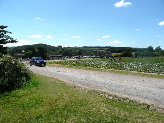 Manor Farm