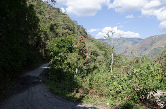 La piste vers Suapi (alt. 1025 m), au nord de Coroico (Yungas, Bolivie), 14 octobre 2012. Photo : C. Basset