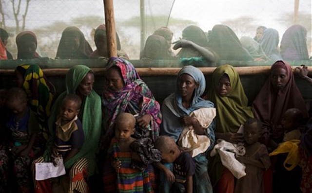 Inside the M&eacute;decins Sans Fronti&egrave;res health clinic on the outskirts of the Dagahaley zone, Dadaab refugee camp in Kenya, September 2011. Dominic Nahr / telegraph.co.uk
