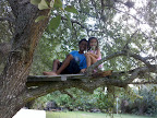 Tree House2.jpg