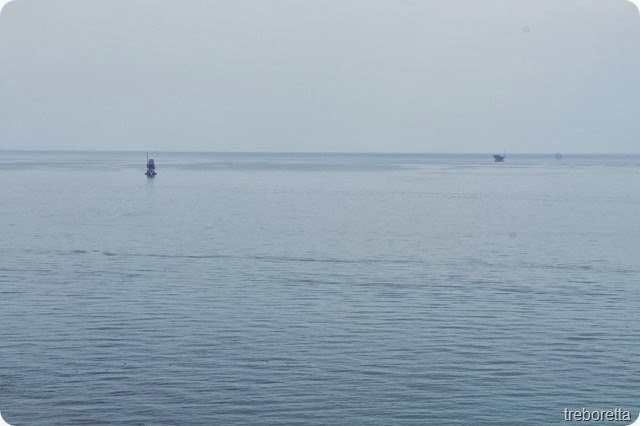 dsc dsc