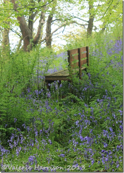 bluebell-seat