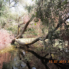 DSCN2993.JPG