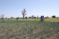 DSC_0025.JPG