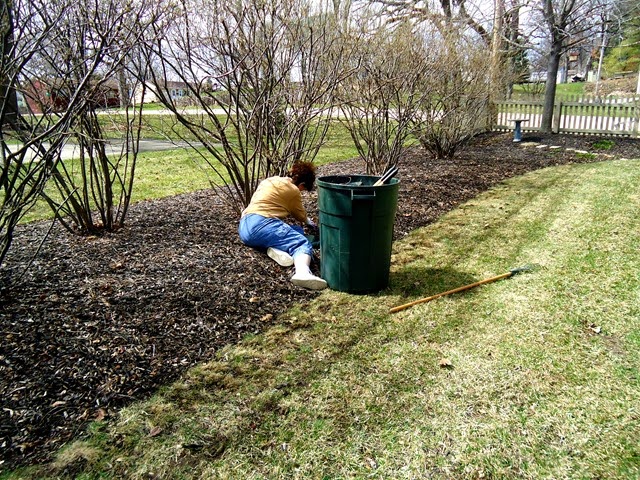 [Cleaning%2520Bushes%25202%255B3%255D.jpg]