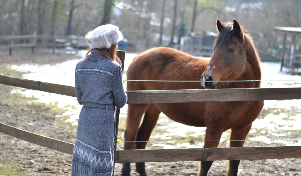 [DSC_0917%255B4%255D.jpg]