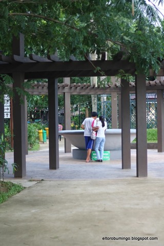 IMG_5508 IMG_5508