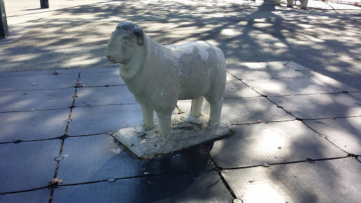 Lamb Sculpture