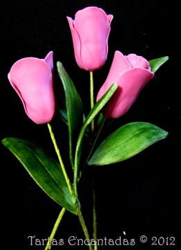 tulipanes tulipanes