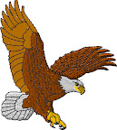 FLYING EAGLE 2.7" 8400 Stitches