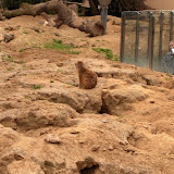 Zoobesuch Bilder von Erika