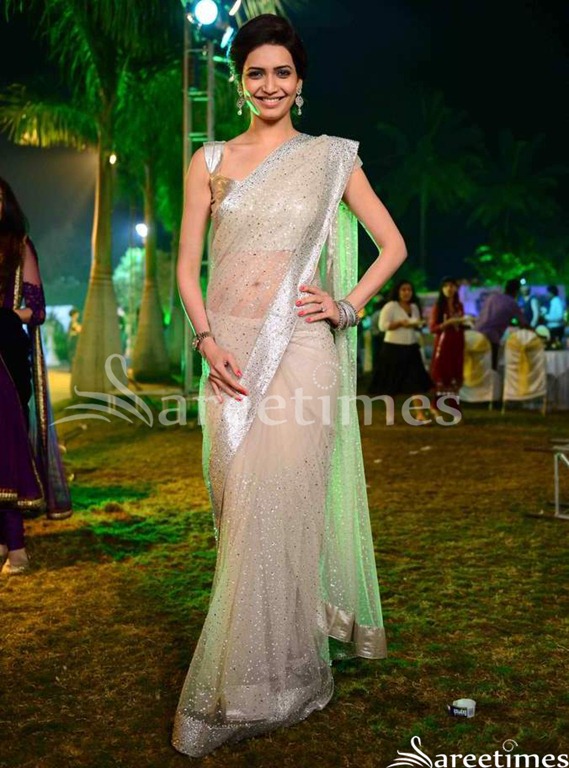 [Embroidery_Shimmer_Saree%255B4%255D.jpg]