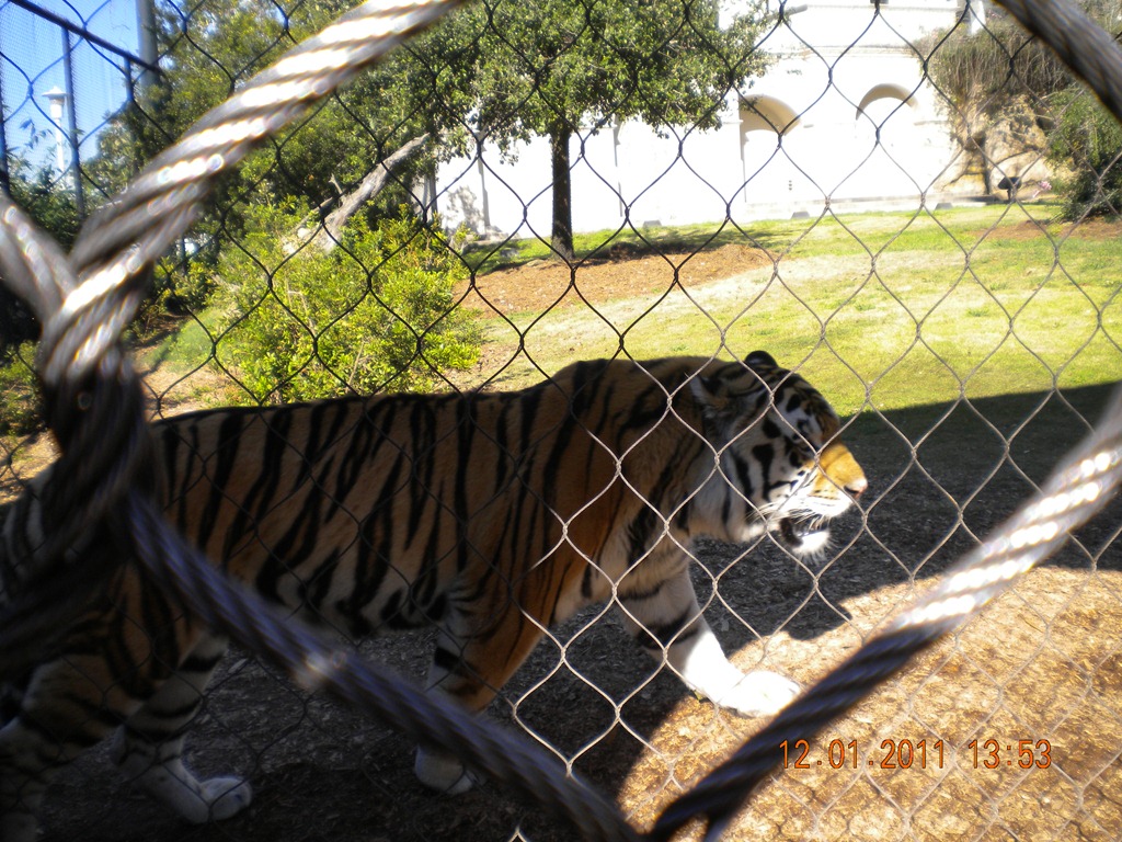 [lsu%2520002%255B3%255D.jpg]