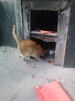 IMG_20120209_103231.jpg