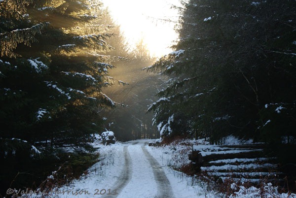 [12-sunrays%255B2%255D.jpg]