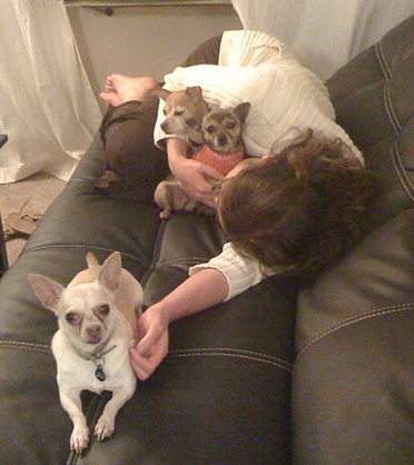 I have lots of friends now. Here I am with Penelope (she has 3 legs!), Bruno and their mom Michelle. They were rescues too! I have lots of friends now. Here I am with Penelope (she has 3 legs!), Bruno and their mom Michelle. They were rescues too!