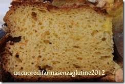 colomba a biga 6