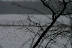  Winterhike: Fotos & Videos