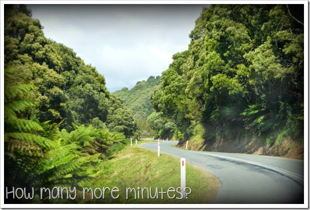 How Many More Minutes? ~ These Windy Roads in Tassie