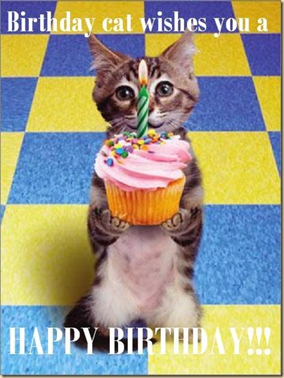 Birthday-Cat Birthday-Cat