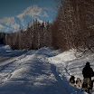 Talkeetna-1420.jpg