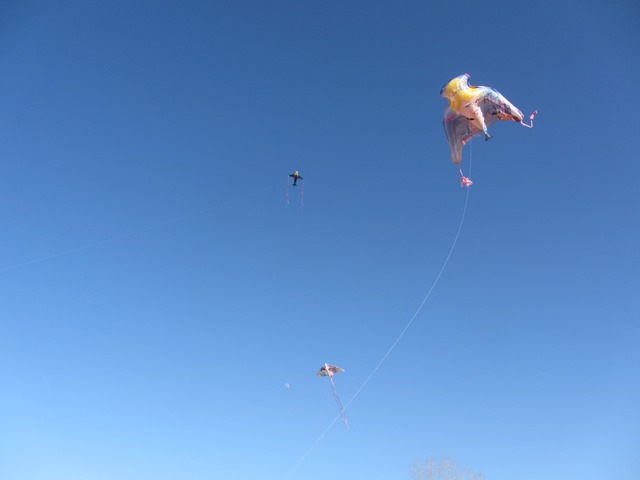 [IMG_86794.jpg]