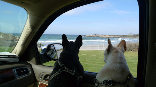 Sharkey, I can see why so many people decided to summer here.  Look at the beach!  It's beautiful!
