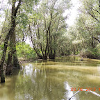 DSCN7230.JPG