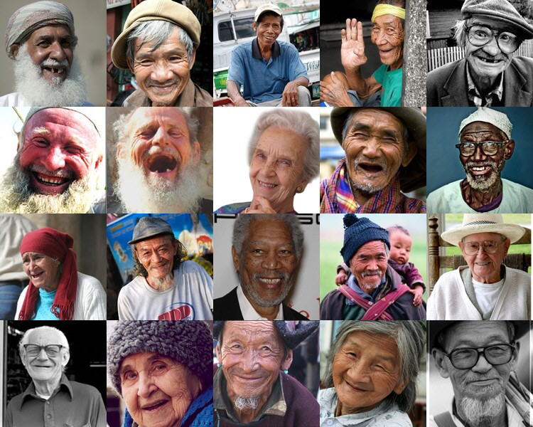 Image Dimension: 512x410 :: Say Cheers to Life Say Cheers to Life