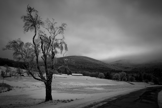 _MG_5234.jpg