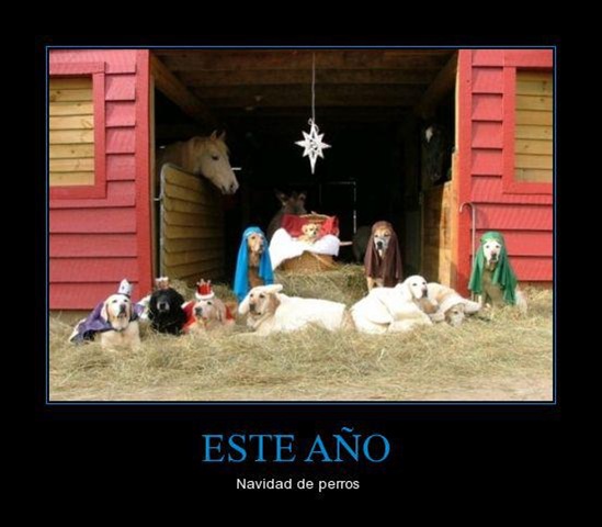 [DesmotivacionesateismodiosjesusBibli%255B119%255D.jpg]
